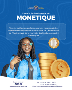 visuel graphique présentant la Formation en monétique au Bénin