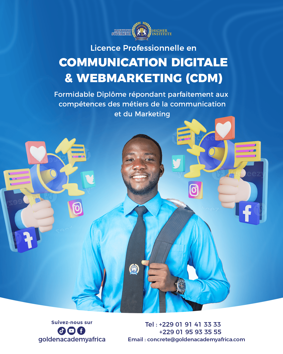 visuel graphique récapitulatif de la licence communication digitale webmarketing